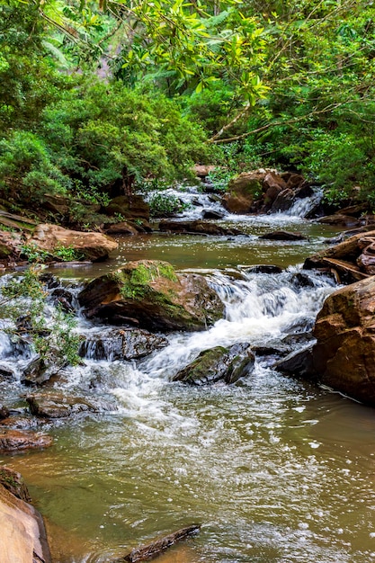 Un ruisseau d'eau calme entre des rochers et entouré de végétation de forêt tropicale.