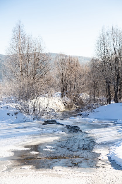 Le ruisseau est recouvert de glace lors du premier gel