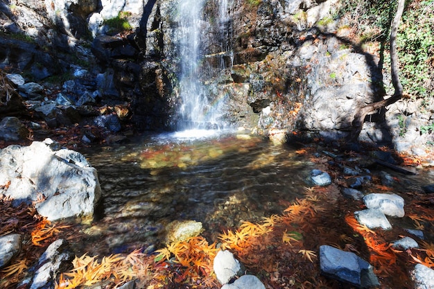 Le ruisseau de la forêt en automne