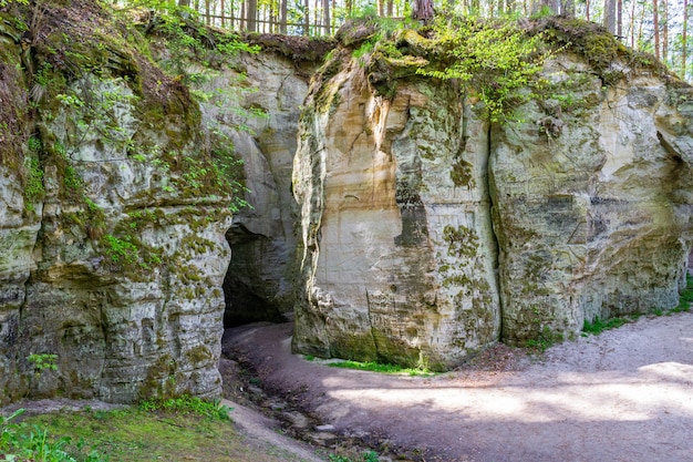 Ruisseau de la grotte fragment de falaise de grès big elita en forêt en journée ensoleillée beau printemps