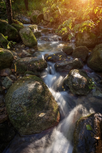 Ruisseau de montagne dans les rochers en automne à Monchique. Le Portugal.