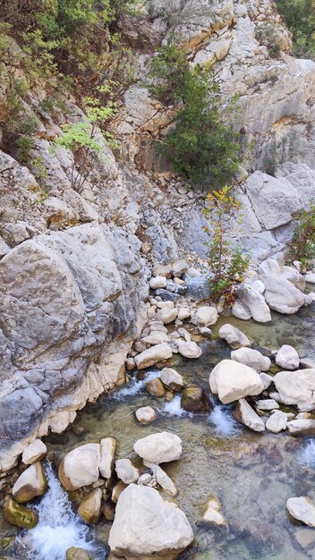 ruisseau de montagne dans les rochers