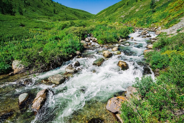 Ruisseau de montagne dans la vallée verte en journée ensoleillée d'été