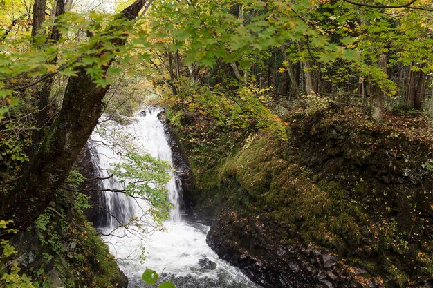 Photo ruisseau de montagne oirase à towada