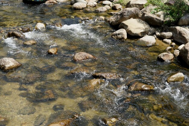 Ruisseau de montagne pendant la saison estivale