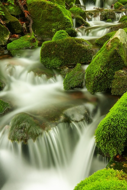 Ruisseau de montagne, petite rivière avec des rochers recouverts de mousse verte