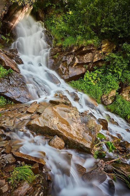 Ruisseau de montagne rapide à travers la forêt