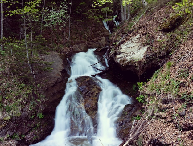 Ruisseau de montagne