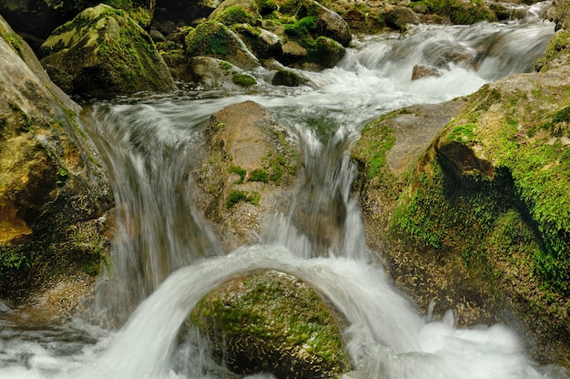 ruisseau de montagne