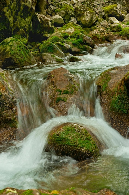 ruisseau de montagne