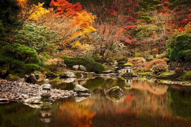 Photo un ruisseau qui coule contre les arbres en automne