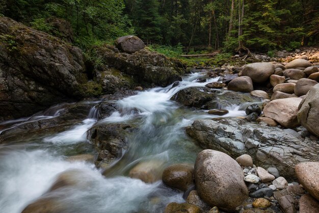 Ruisseau de la rivière dans le canyon naturel pendant l'été Contexte de la nature canadienne