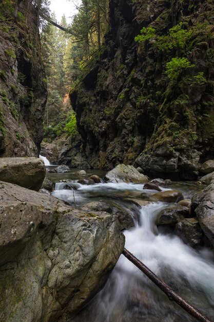 Ruisseau de la rivière dans le canyon naturel pendant l'été Contexte de la nature canadienne