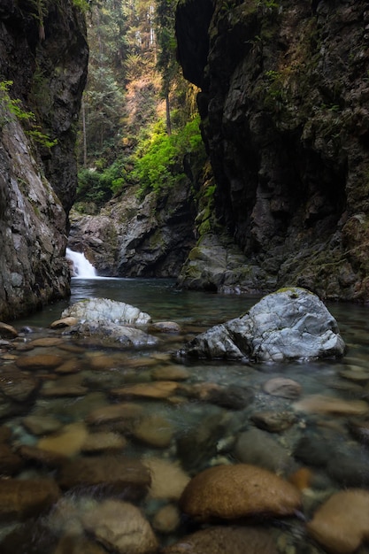 Ruisseau de la rivière dans le canyon naturel pendant l'été Contexte de la nature canadienne