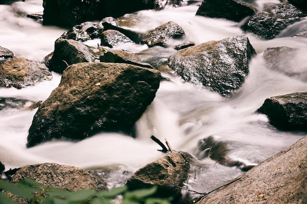 Ruisseau avec des rochers dans une forêt
