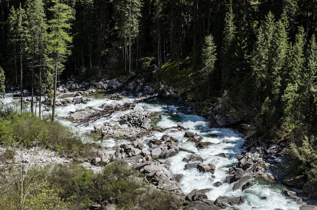 Ruisseau sauvage dans la nature