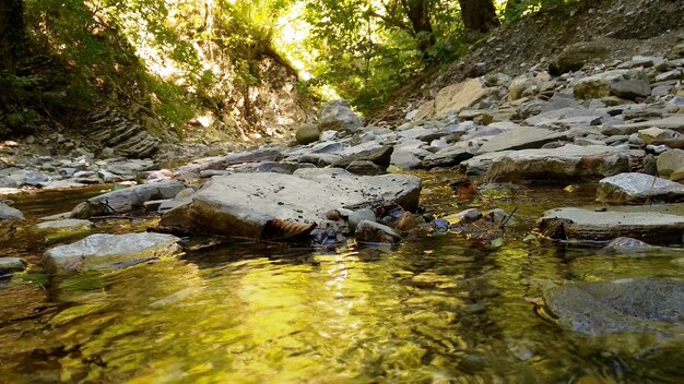 le ruisseau se jette dans une gorge de montagne