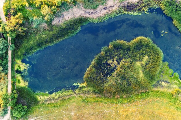 Un ruisseau sinueux coule à travers le champ Vue d'en haut