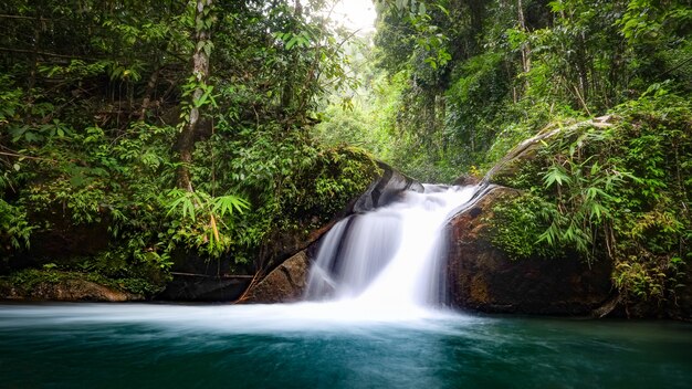 Ruisseau tropical dans les jungles de Thaïlande