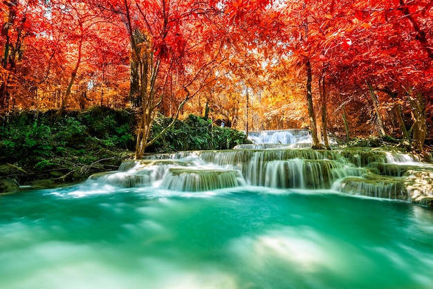 Des ruisseaux, des chutes d'eau, des coulées d'eau. Des paysages d'automne.