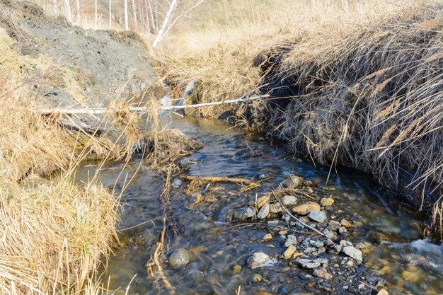 Des ruisseaux printaniers tant attendus coulent sur des ravins et des collines par une journée ensoleillée. Rapides d'eau et cascades de ruisseaux parmi l'herbe sèche. Beau paysage de printemps.