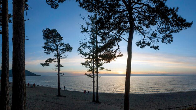 Russie, Goryachinsk. Coucher de soleil au bord d'une plage de sable près du lac Baïkal. Le pin brille à travers les pins