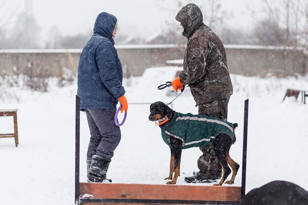 Russie Ivanovo 24 décembre 2017 un concours pour chiens le plaisir commence en hiveréditorial