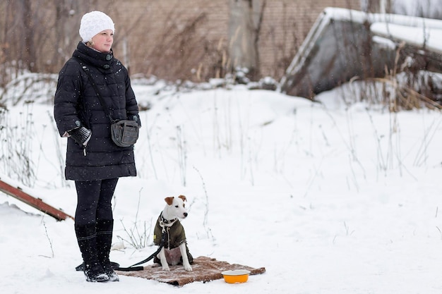 Russie Ivanovo 24 décembre 2017 un concours pour chiens le plaisir commence en hiveréditorial