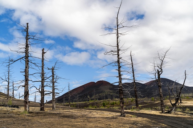 Russie Kamtchatka Champs de sable noir et de collines dans la région du volcan Tolbachik