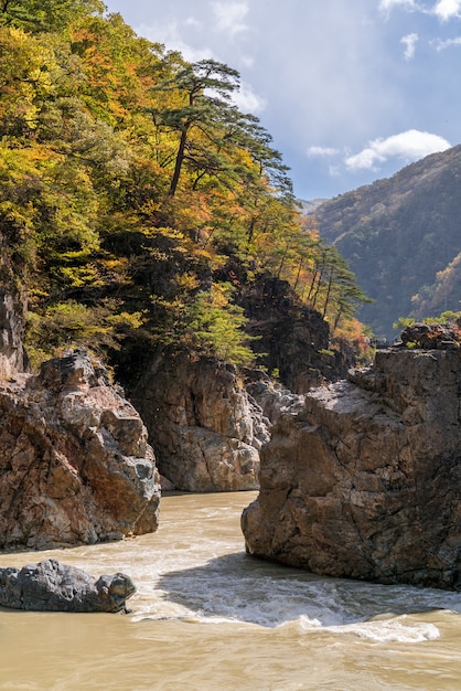 Photo ryuyo gorge canyon nikko japon