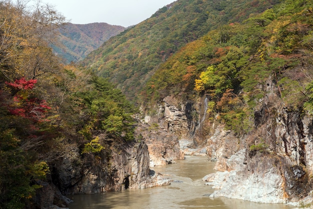 Ryuyo Gorge canyon Nikko Japon