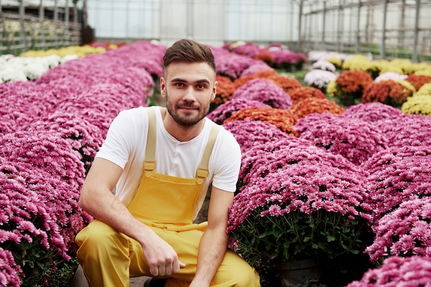 S'asseoir entre cette beauté. Photo de beau jeune homme dans la serre en prenant soin de fleurs roses.