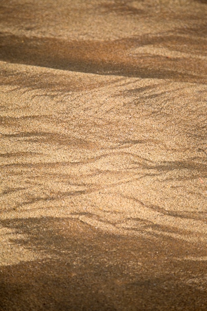 Sable à Agonda, Goa, Inde