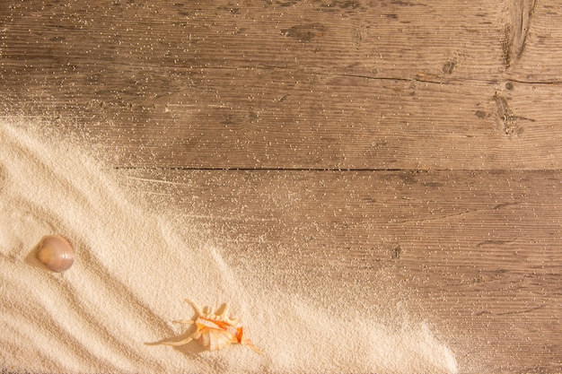 Sable blanc et coquillages sur planches de bois.