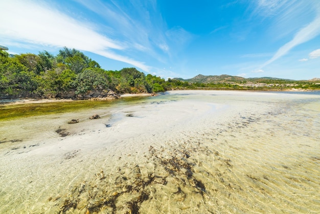 Sable blanc à la plage de Lu Impostu