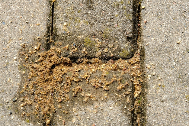 Sable dans les coutures entre les pavés