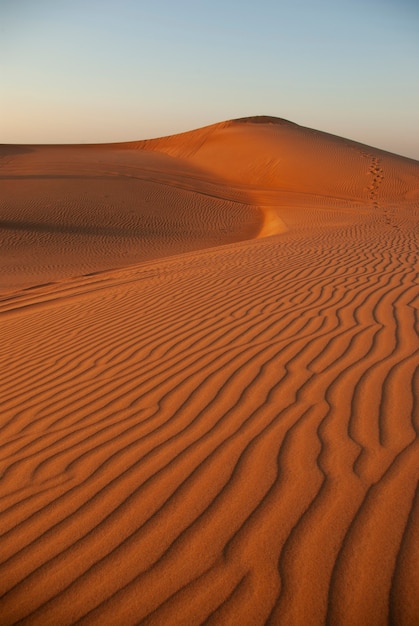 Sable dans le désert contre le ciel. Dunes.