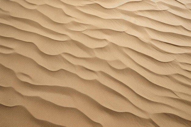 le sable est brun et présente un motif d'ondulations.