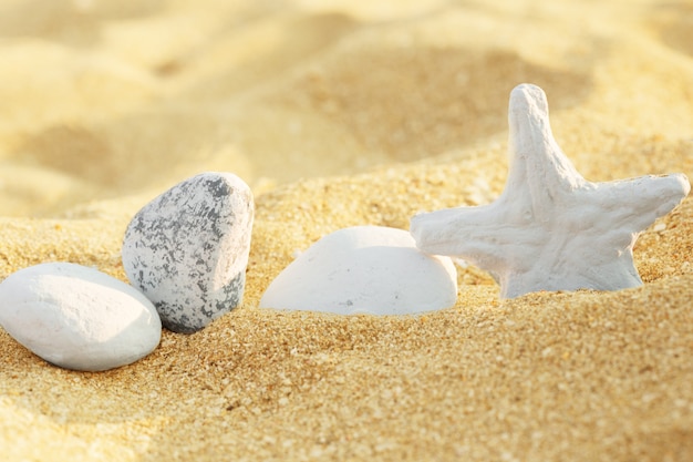 Photo sable de mer avec étoiles de mer et coquillages