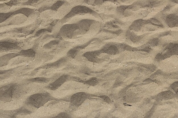 Le sable de mer