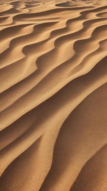 Le sable moulu est texturé.