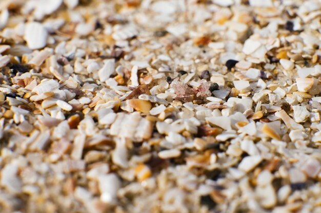 Sable et petites particules de coquillages au bord de la mer