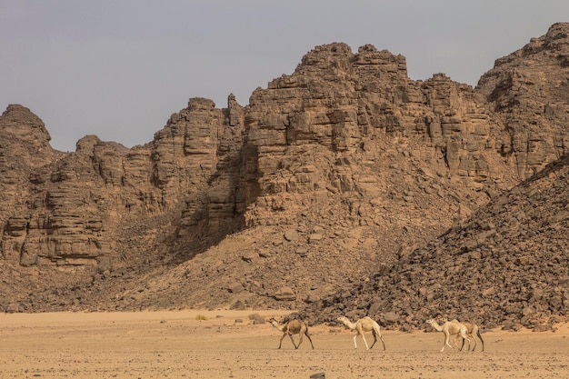 Sable et pierres des montagnes du Hoggar dans le désert du Sahara, région de Djanet, Algérie