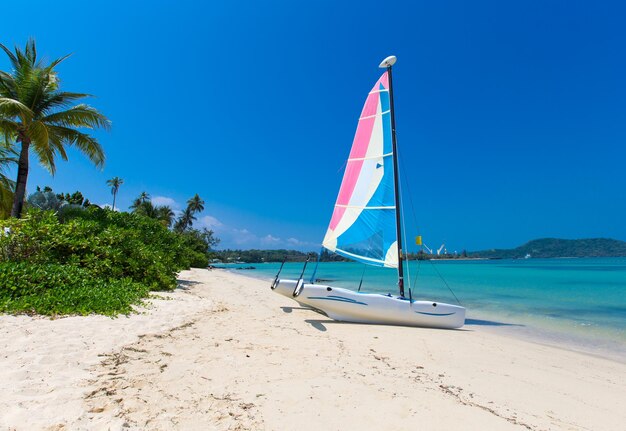 Sable de plage mer des caraïbes mer tropicale