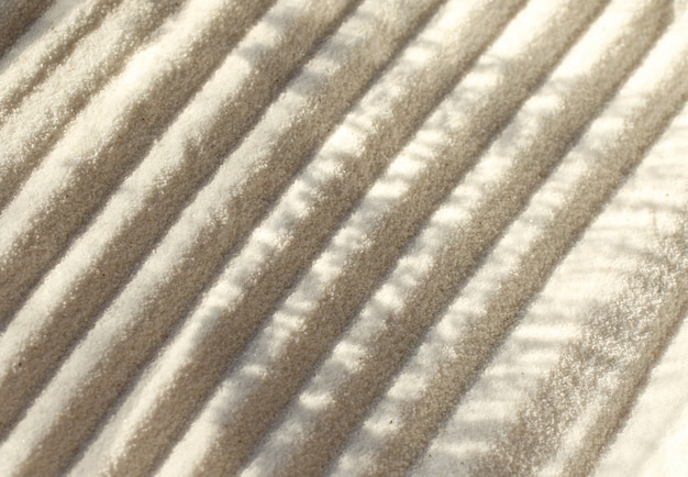 Sable de quartz avec une ombre d'une branche dessus.Parallèle tout droit sur le sable.