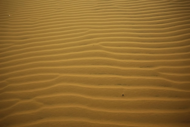 Sable de texture dans le désert