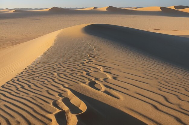 Les sables sans fin de la dune