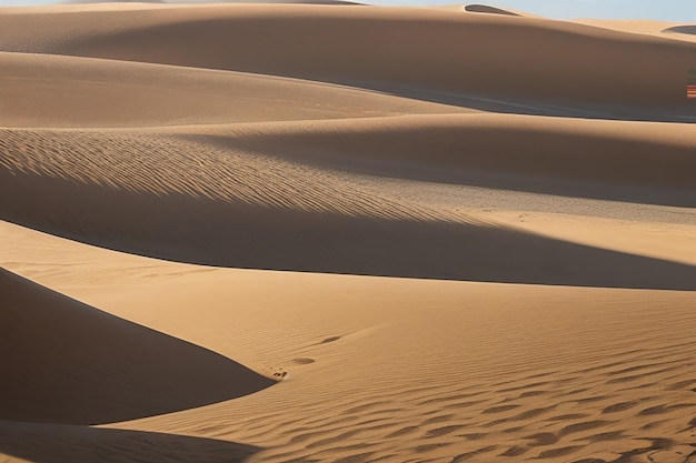 Les sables sans fin de la dune