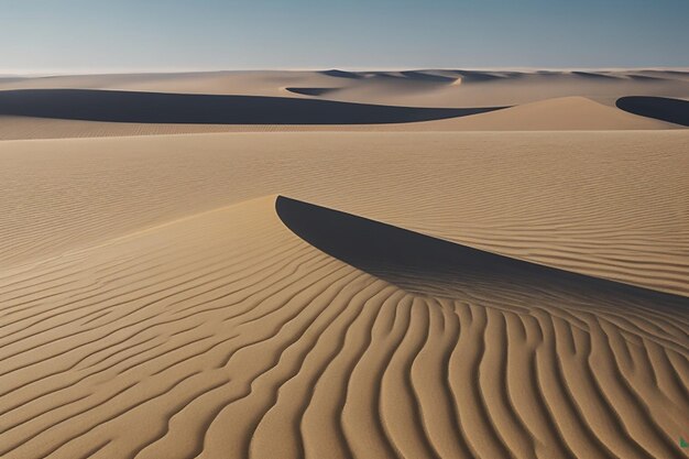 Les sables sans fin de la dune