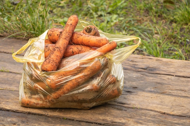 Un sac de carottes fraîches sur fond de bois Concept d'aliments sains et naturels